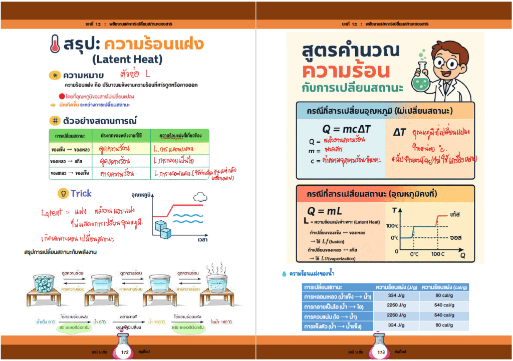 ตัวอย่าง 12